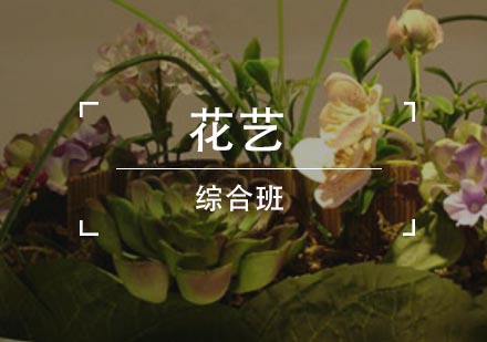 合肥花艺培训