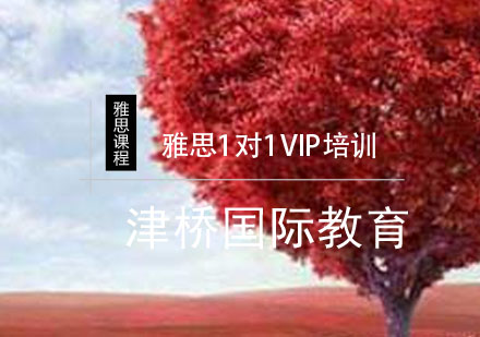 合肥雅思1对1VIP培训课程