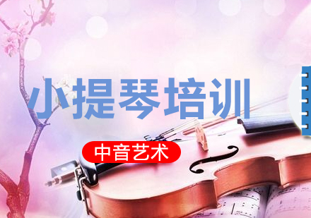 北京小提琴基础入门培训班