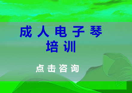 北京中音艺术学校电子琴培训班