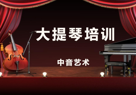 北京中音艺术学大提琴培训辅导班