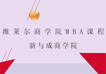 维莱尔商学院MBA课程