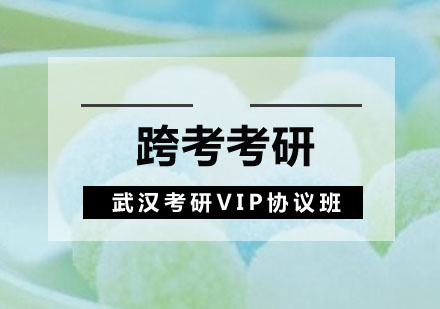 武汉考研VIP协议班