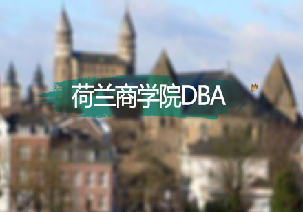 荷兰商学院DBA工商管理博士
