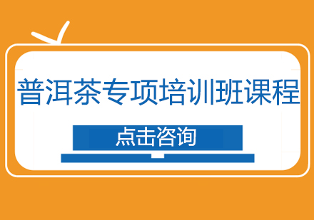 普洱茶专项培训班课程