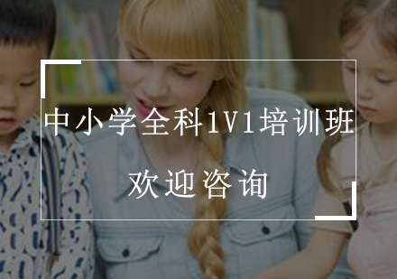 中小学全科1V1培训班