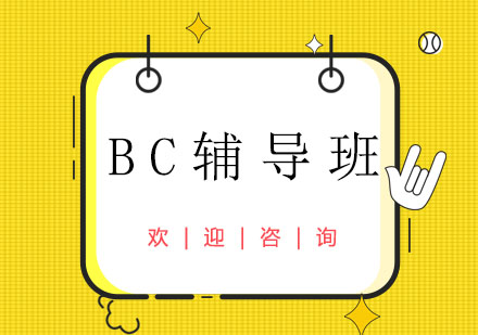 上海BC辅导班