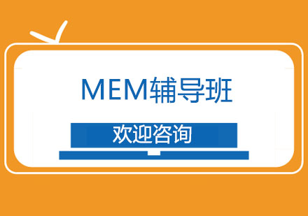 上海MEM辅导班