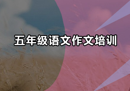 深圳五年级语文作文培训班