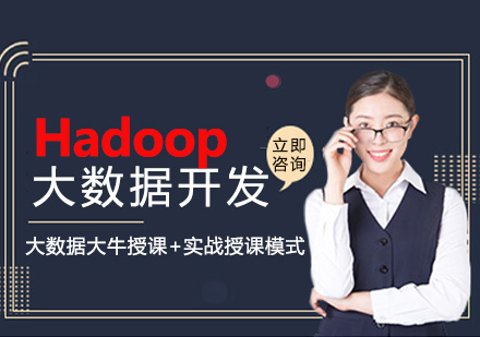 Hadoop大数据开发实战课程