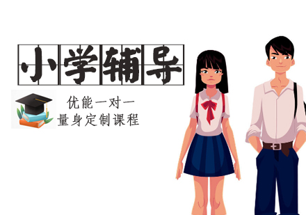 小学全科一对一辅导班