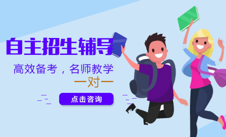 自主招生一对一辅导班