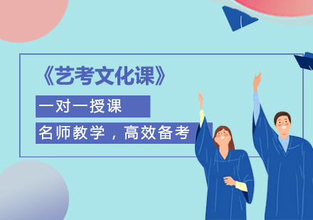 艺考文化课一对一辅导班