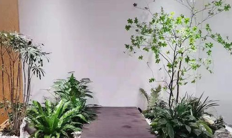 绿植环绕