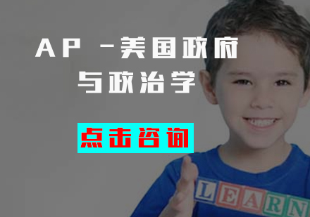 AP -美国与政治学