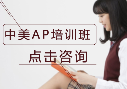 中美AP培训班