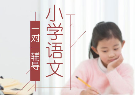 小学语文一对一辅导班