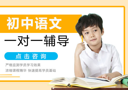 初中语文一对一辅导班