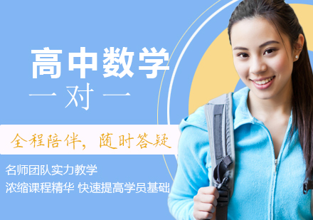 高中数学一对一辅导班