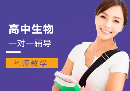 高中生物一对一辅导班