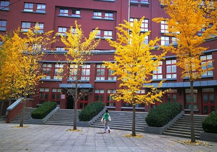 北京十一学校国际部校园环境