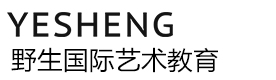 北京野生国际艺术教育