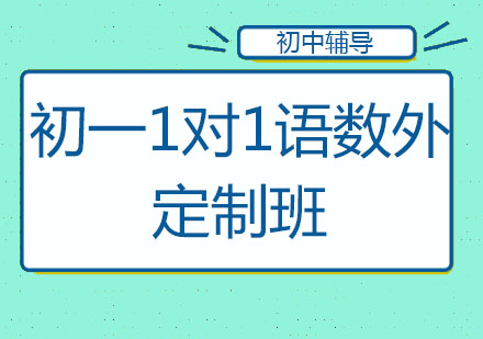 北京初一1对1语数外定制班