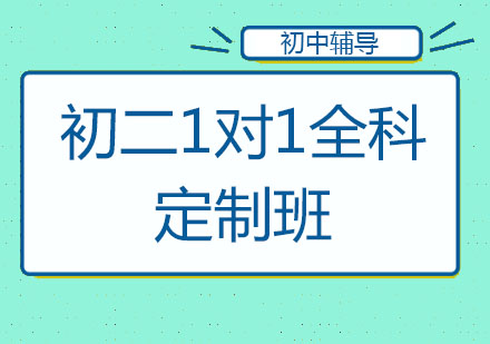 北京初二1对1全科定制班