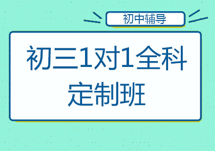 北京初三1对1全科定制班