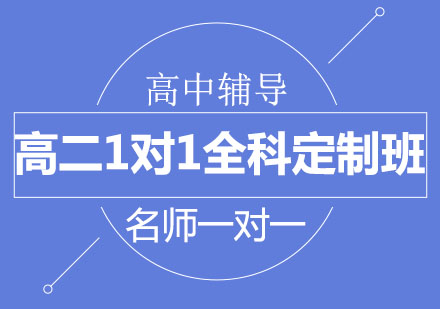 北京高二1对1全科定制班