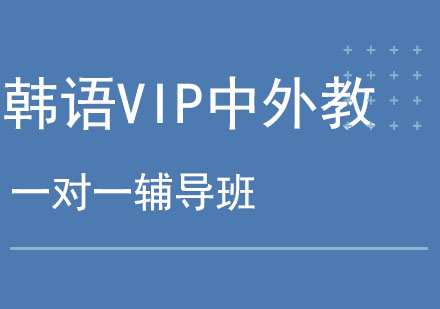 北京韩语VIP中外教一对一辅导班