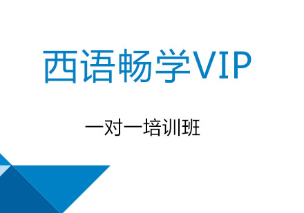 北京西语畅学VIP一对一培训班