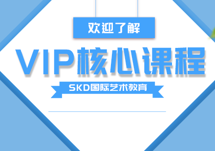 VIP核心课程