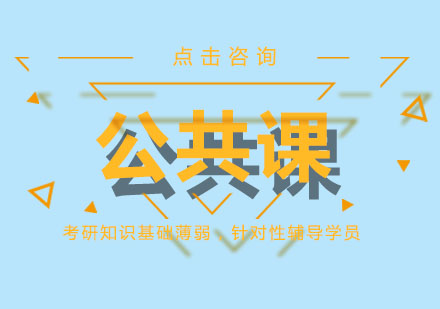 公共课一对一辅导