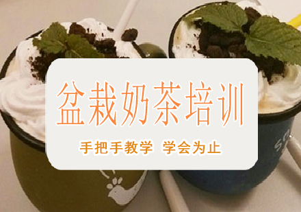 南宁盆栽奶茶培训课程