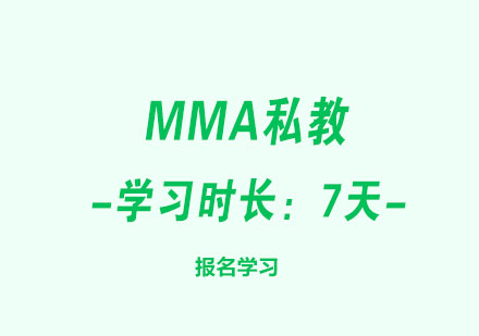 MMA私教格斗认证课程