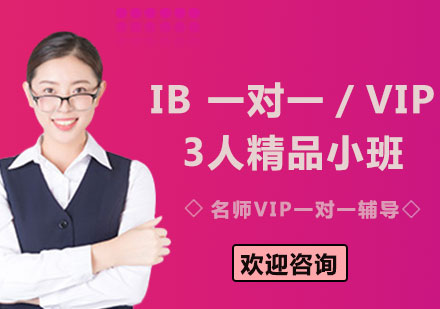 上海IB 一对一／VIP3人精品小班