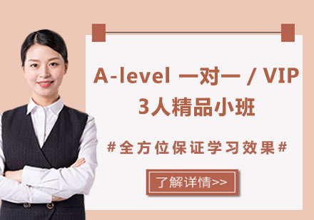 上海A-level 一对一／VIP3人精品小班