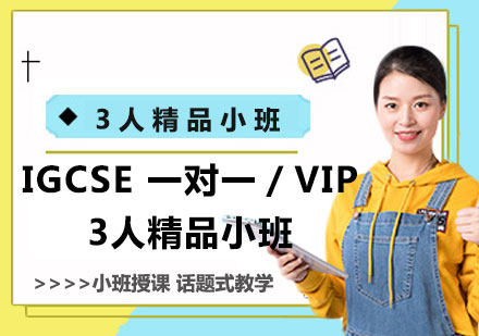 上海IGCSE 一对一／VIP3人精品小班