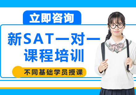 上海新SAT一对一课程培训