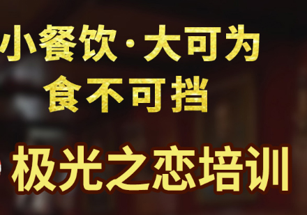 上海极光之恋培训