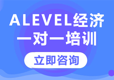 上海Alevel经济一对一培训