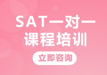 上海SAT一对一课程培训