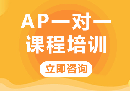 上海AP一对一课程培训