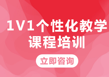 上海1V1个性化教学课程培训