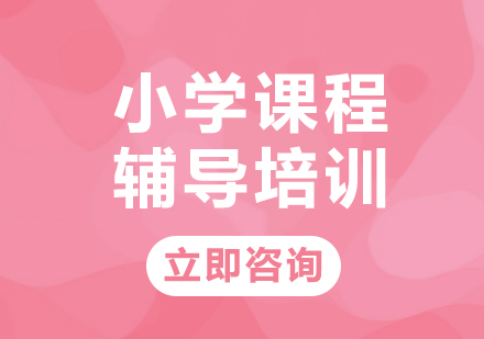 上海小学课程辅导培训