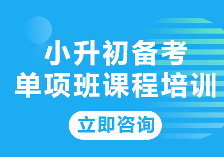 上海小升初备考单项班课程培训