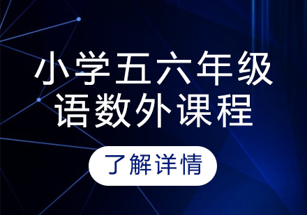 武汉小学五六年级语数外课程