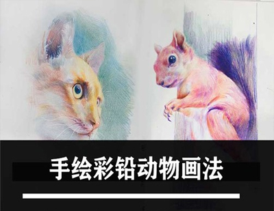动物彩铅画法