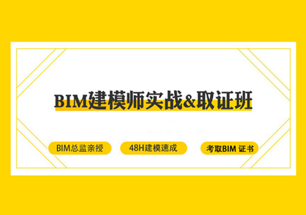 BIM建模师实战班